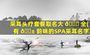 采耳头疗套餐取名大 🐟 全(有 🐱 韵味的SPA采耳名字)